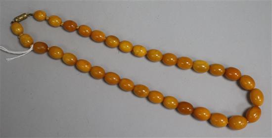 A single strand graduated oval amber bead necklace, gross 31 grams, 44cm.